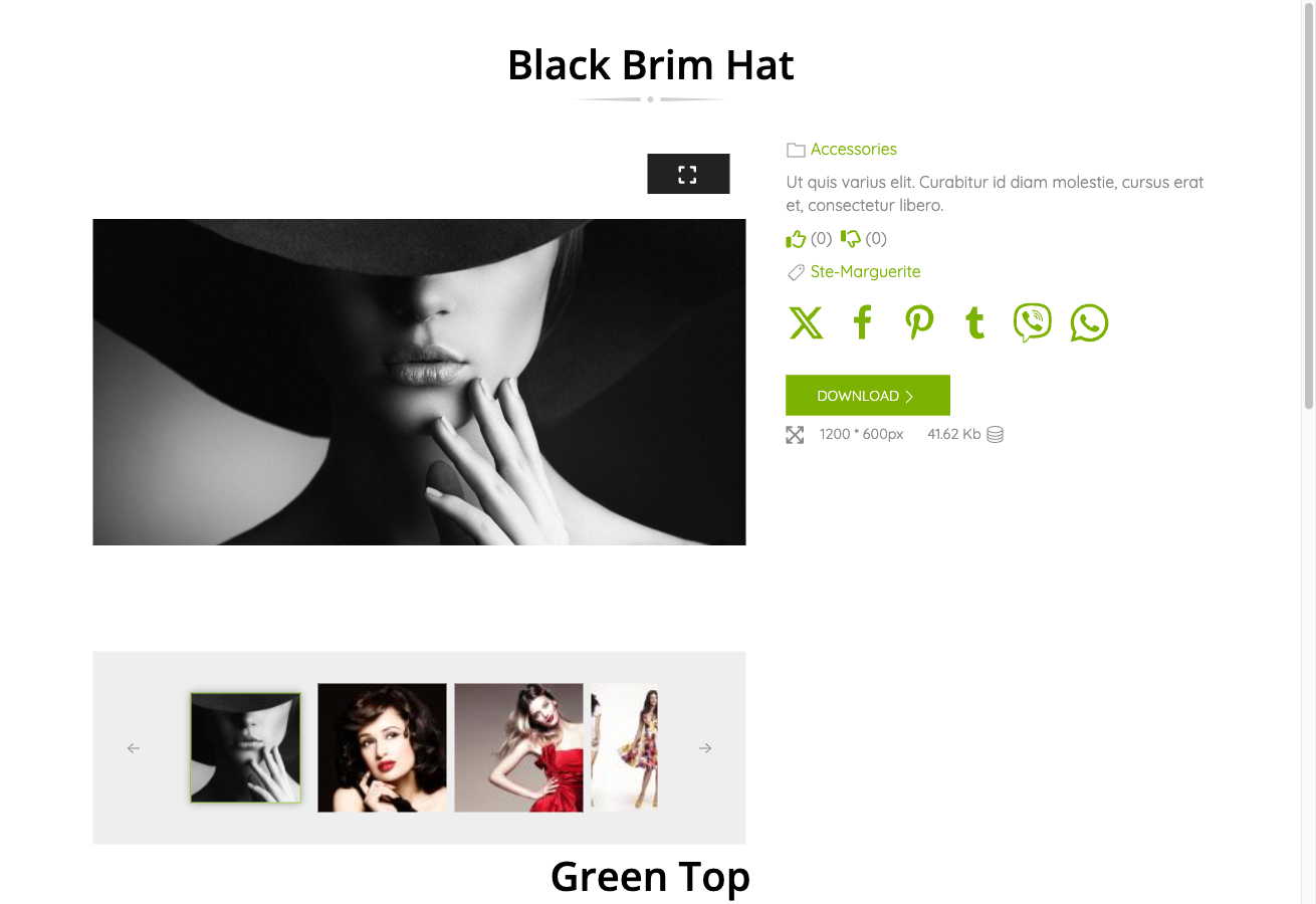 Beauty template single file detail page