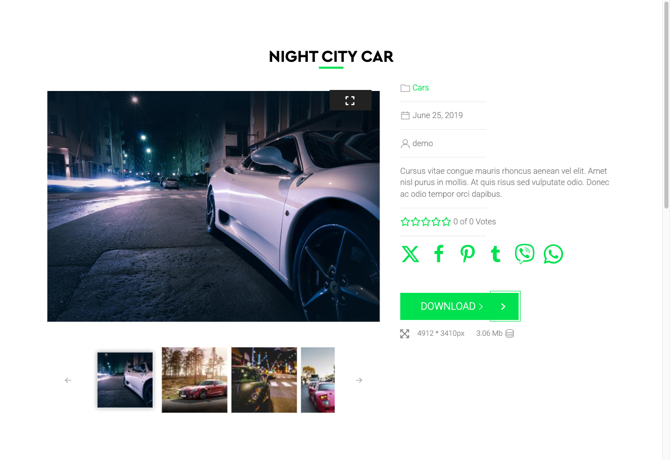 Fancy template single file detail page