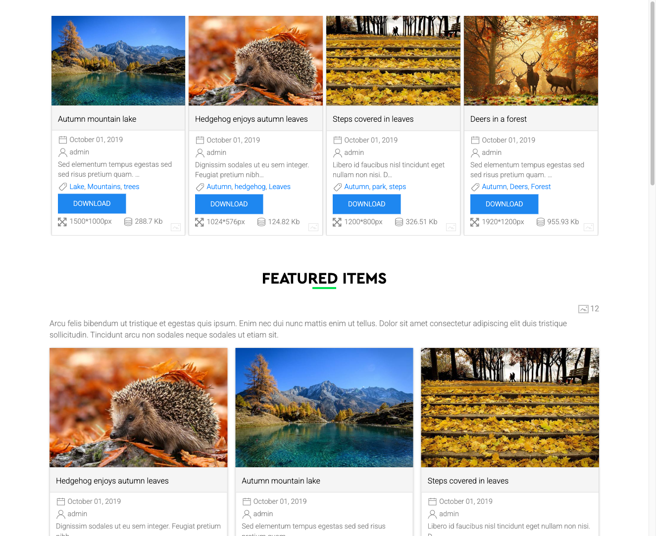 Featured badge on a file grid item