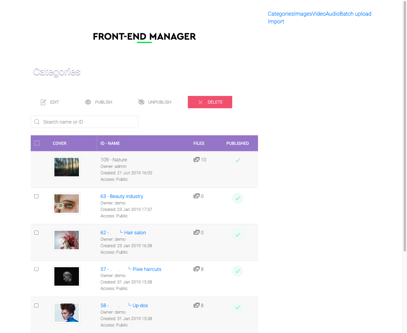 Frontend user section showing file management interface