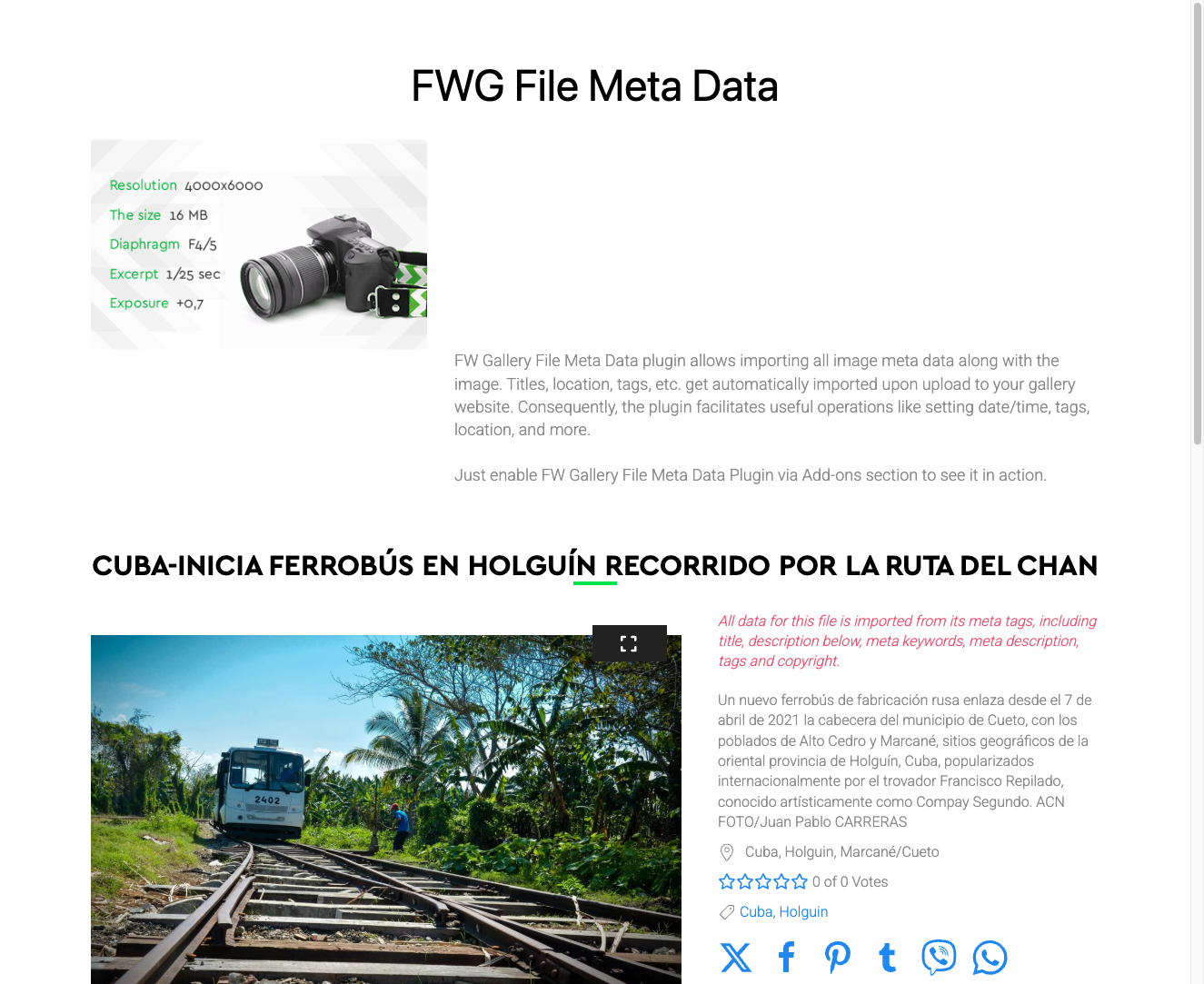 Metadata displayed on file detail page