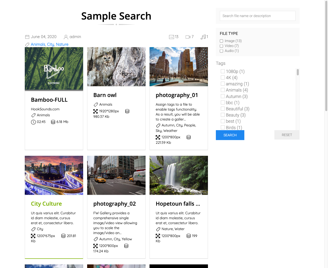 Search module with keyword and gallery filters