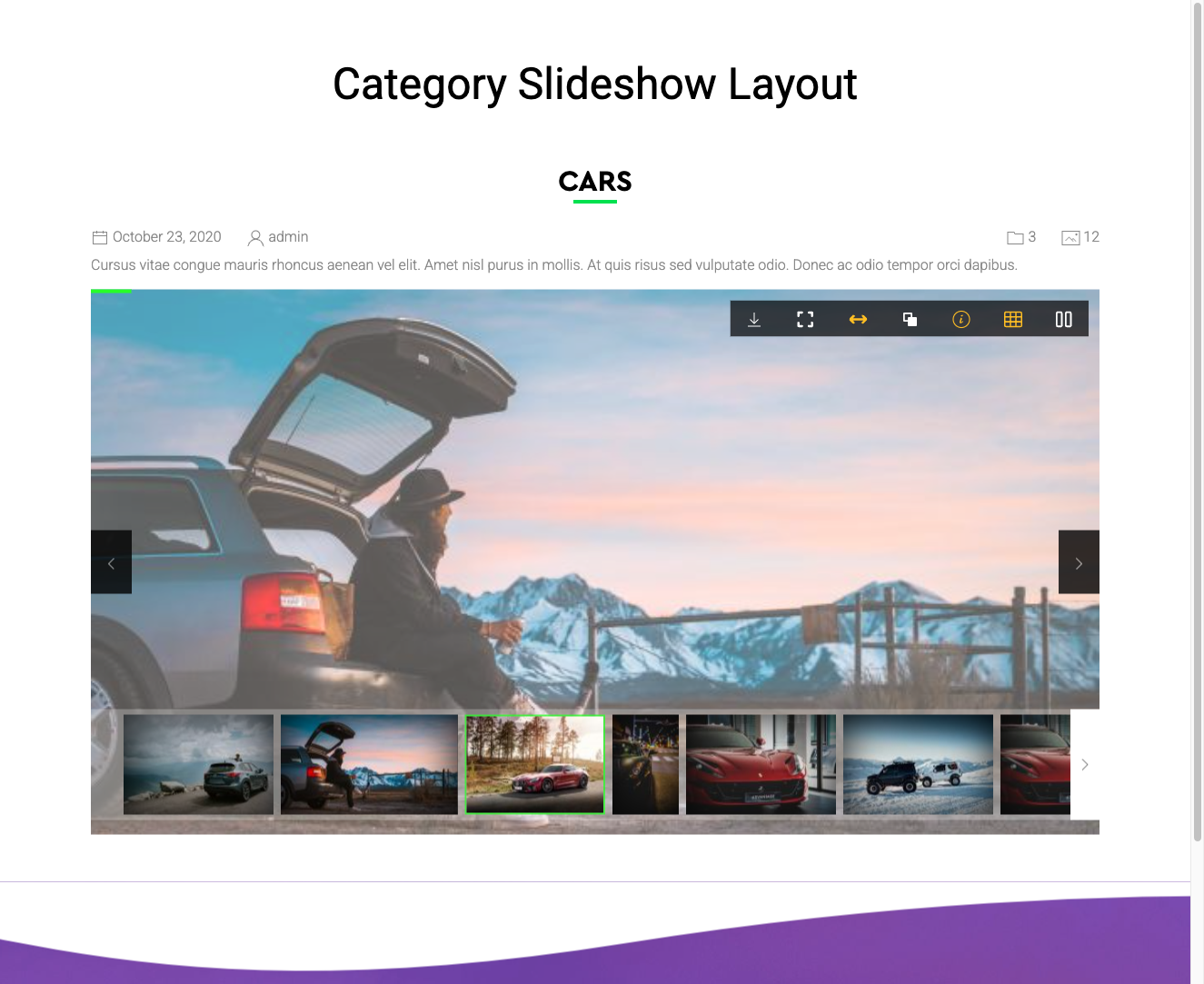 Full-page slideshow on a gallery page