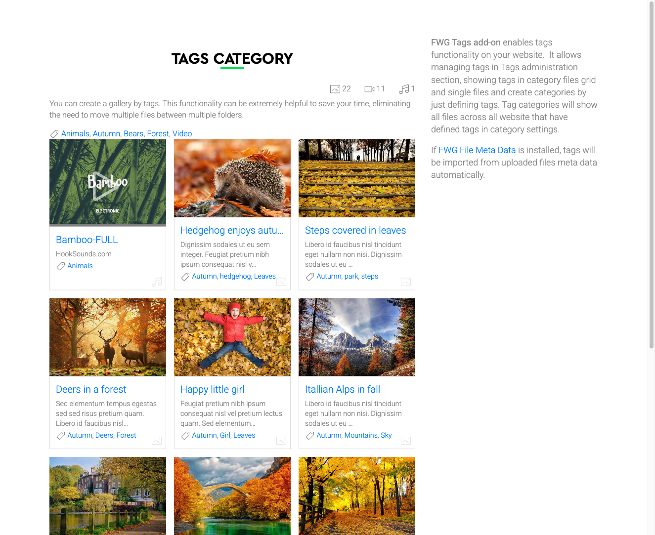 Tags displayed as links on a file detail page