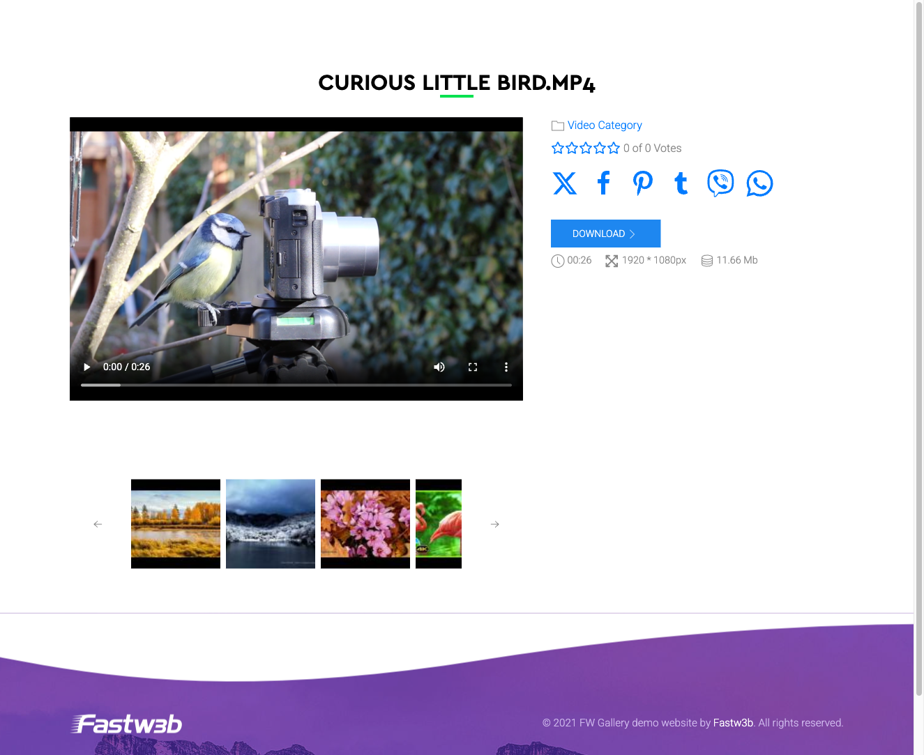 Video player on file detail page