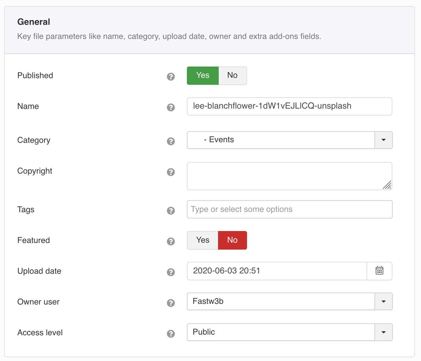 Key file parameters like name, category, upload date, owner and extra add-ons fields.