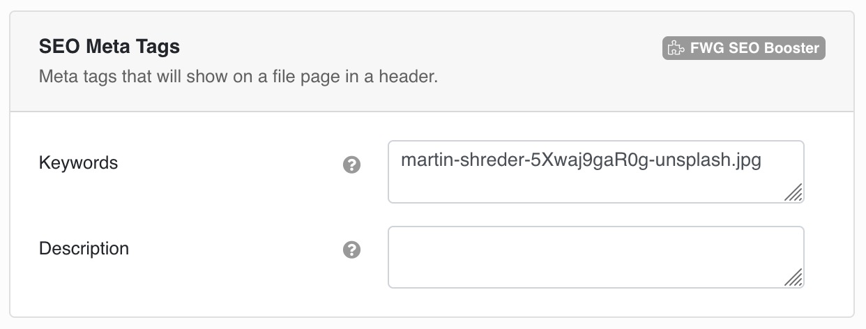 Meta tags that will show on a file page in a header.