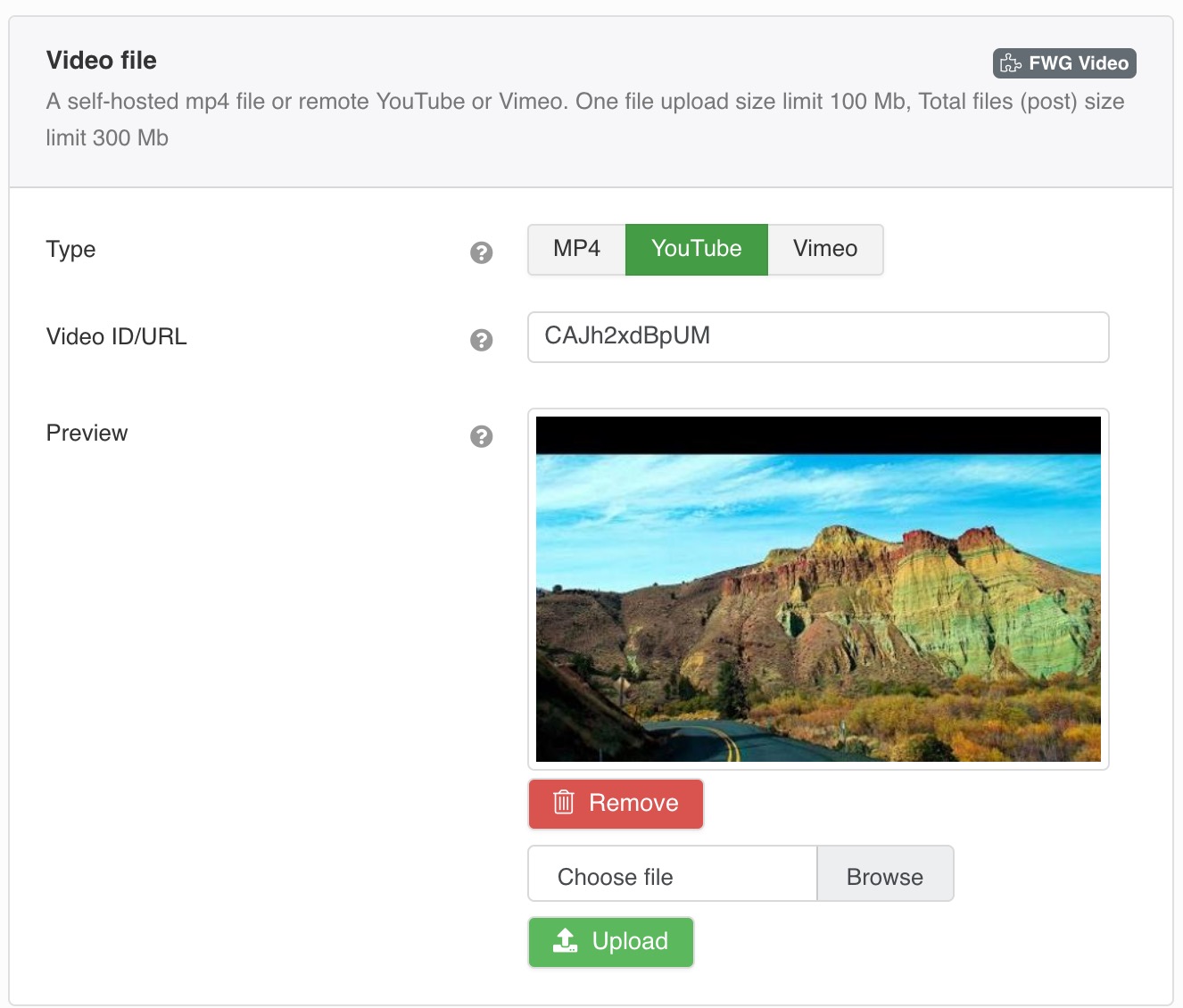 A self-hosted mp4 file or remote YouTube or Vimeo.